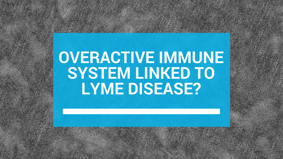 Micha Abeles Overactive Immune System Lyme Disease